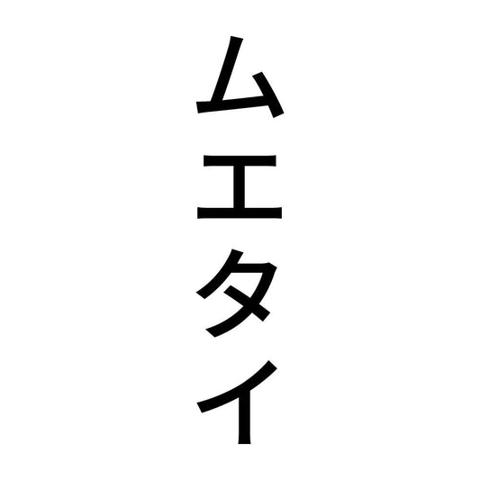 ムエタイ 縦