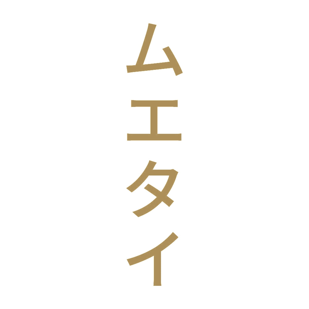 ムエタイ 縦