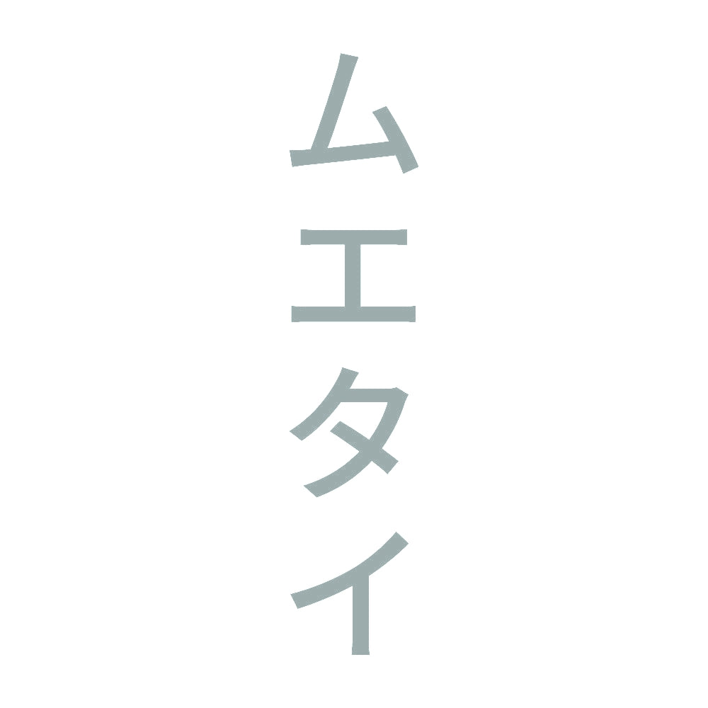 ムエタイ 縦