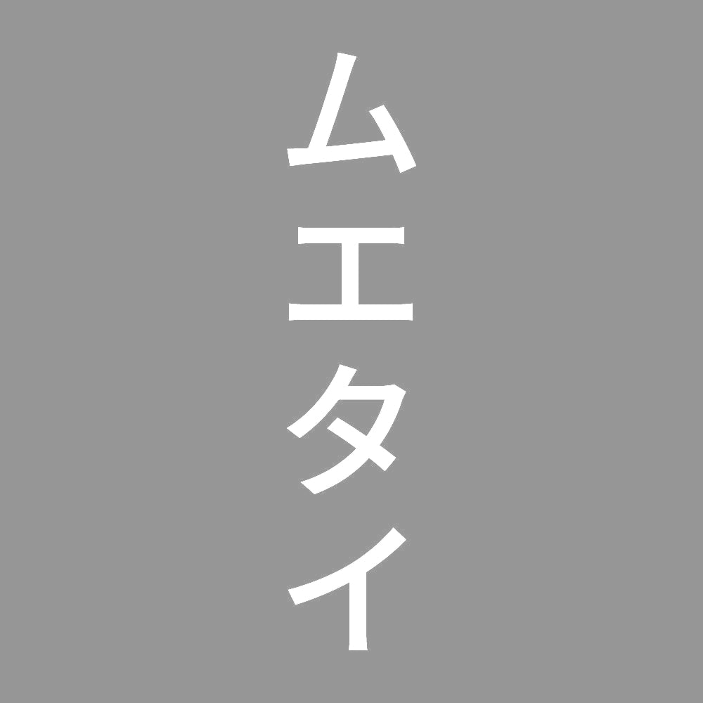 ムエタイ 縦