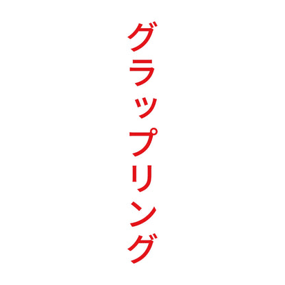 グラップリング 縦