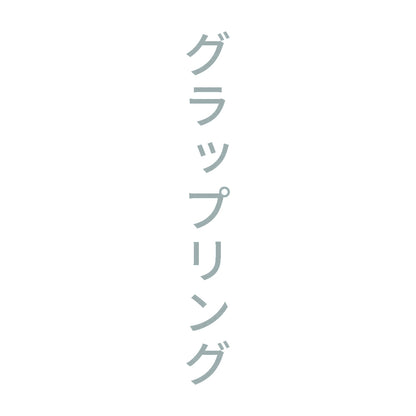 グラップリング 縦