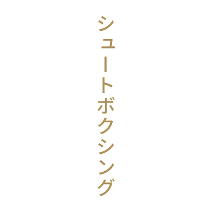 シュートボクシング 縦