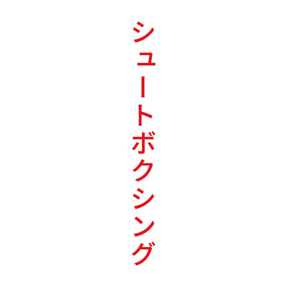 シュートボクシング 縦