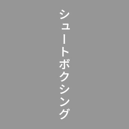 シュートボクシング 縦