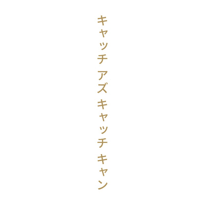 キャッチ アズ キャッチ キャン 縦