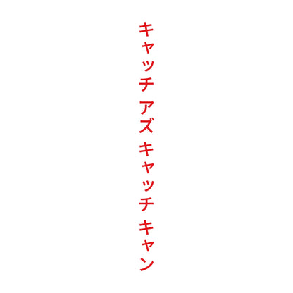 キャッチ アズ キャッチ キャン 縦