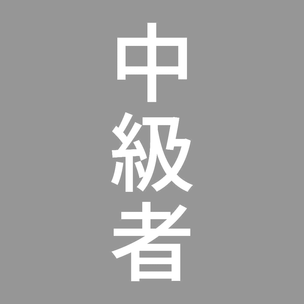 中級者 縦