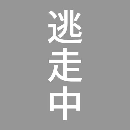 逃走中 縦
