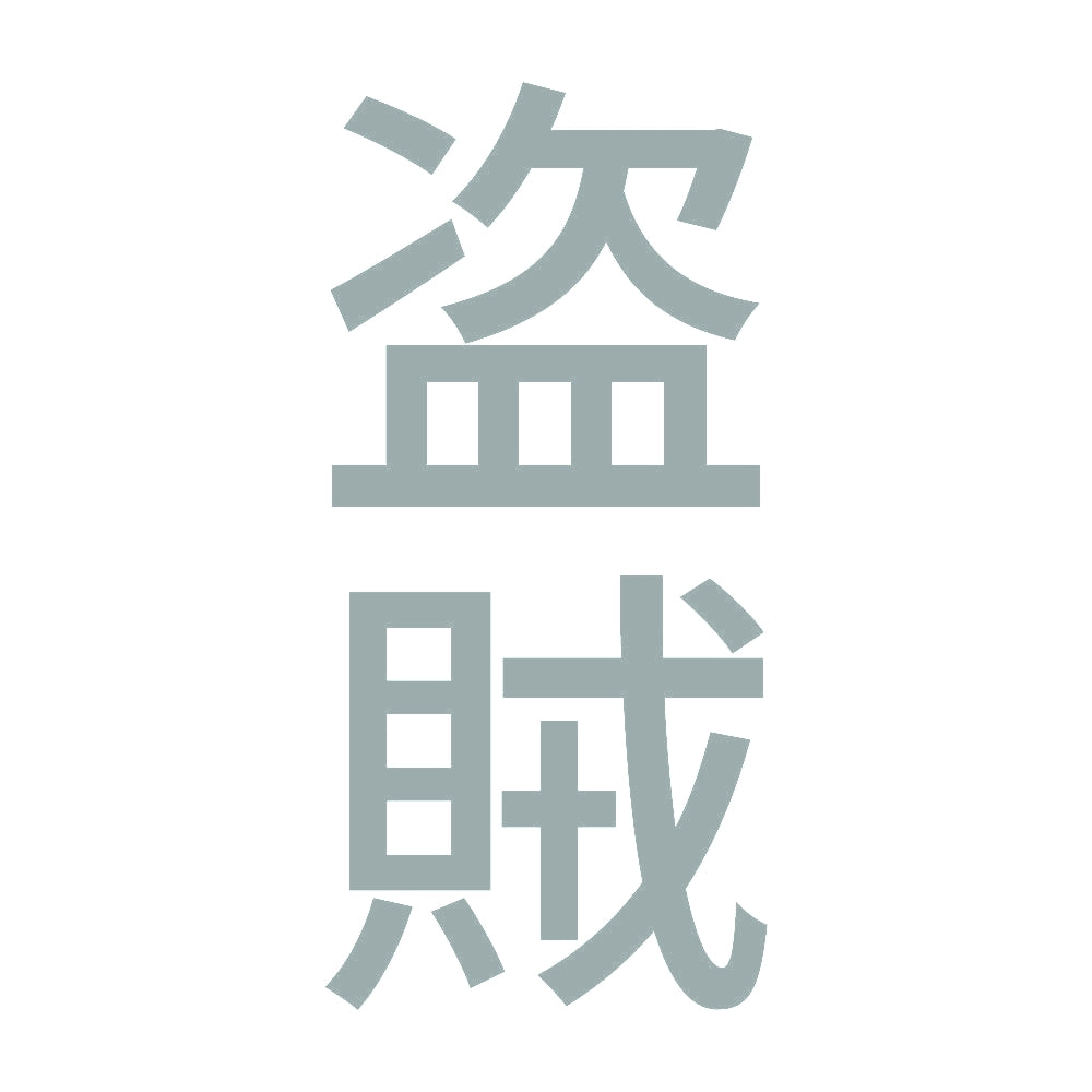盗賊 縦