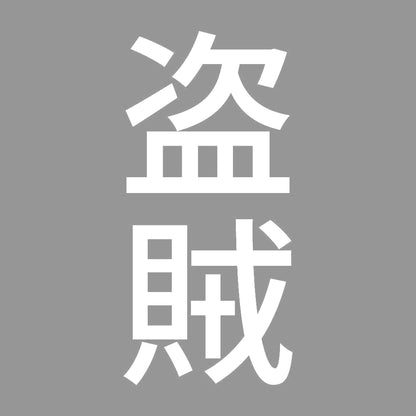 盗賊 縦