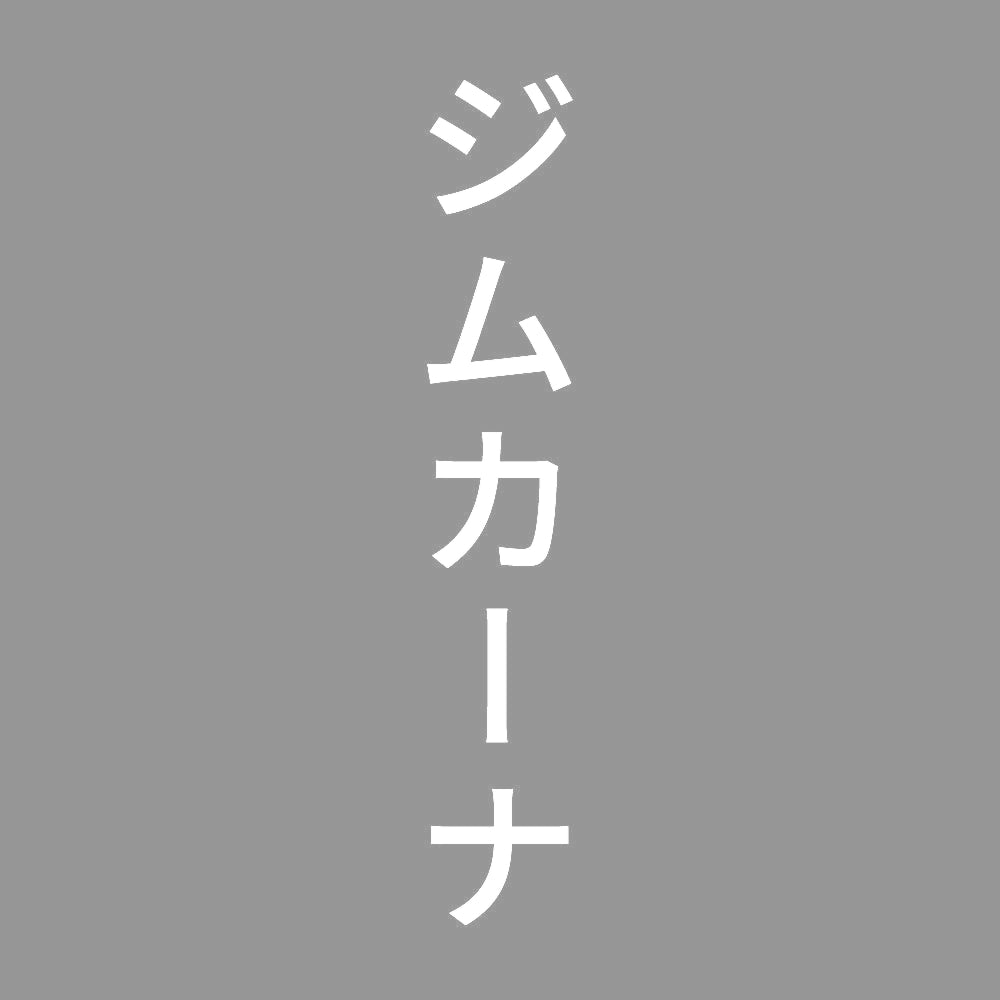 ジムカーナ 縦