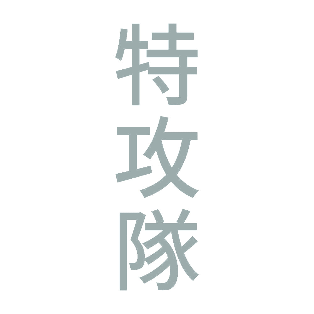 特攻隊 縦