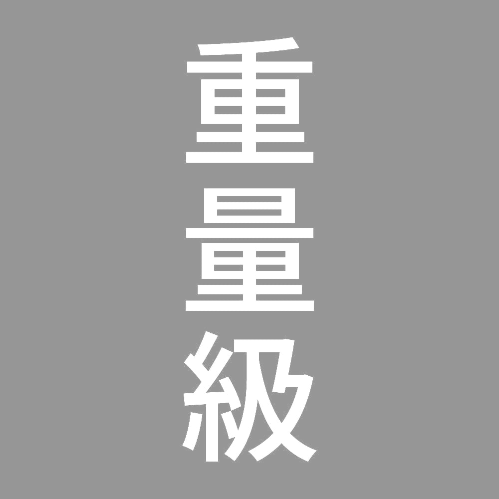 重量級 縦