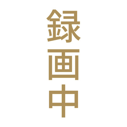 録画中 縦