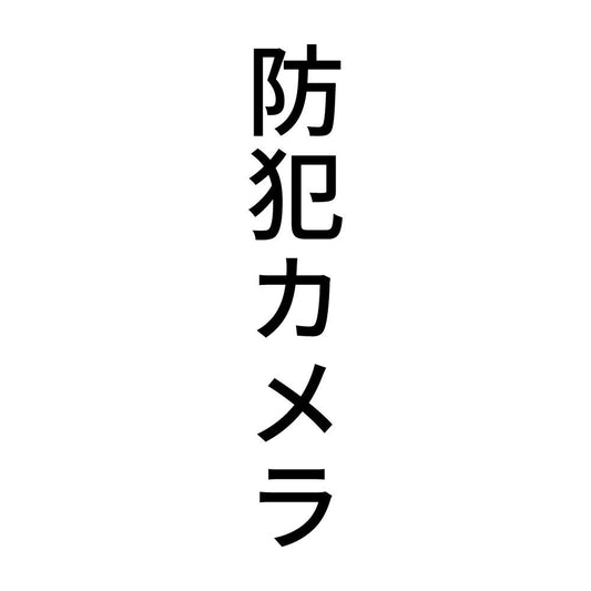 防犯カメラ 縦