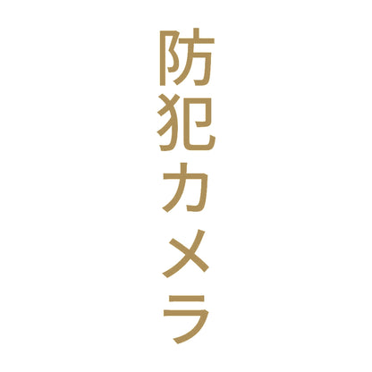 防犯カメラ 縦