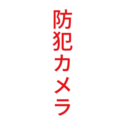 防犯カメラ 縦