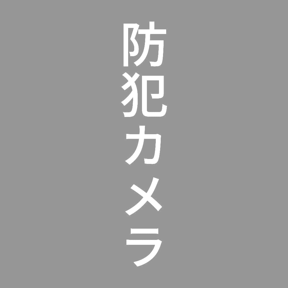 防犯カメラ 縦