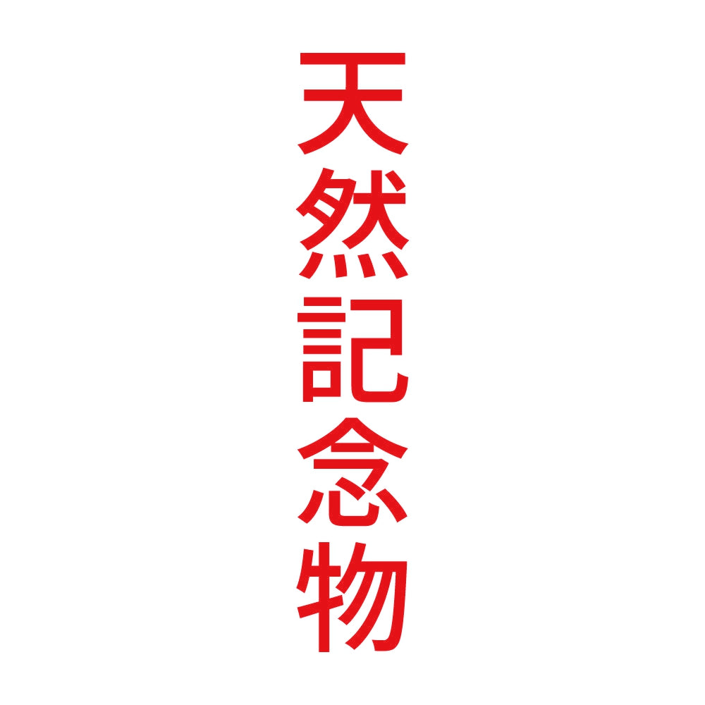天然記念物 縦