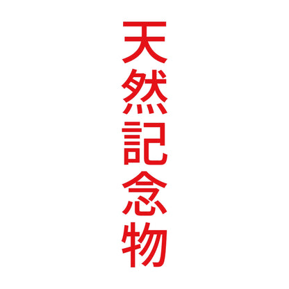 天然記念物 縦
