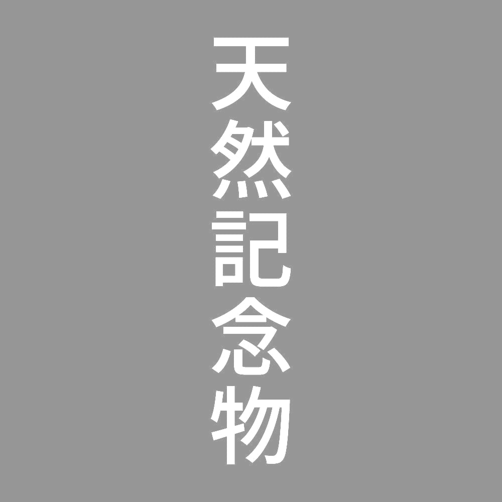 天然記念物 縦