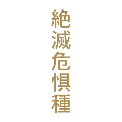 絶滅危惧種 縦