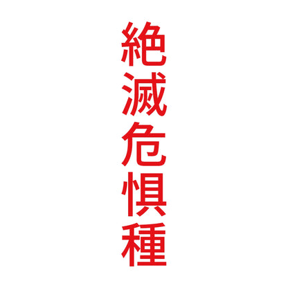 絶滅危惧種 縦