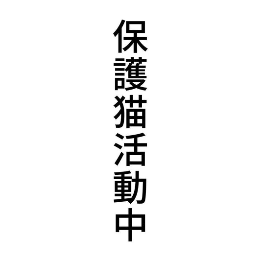 保護猫活動中 縦