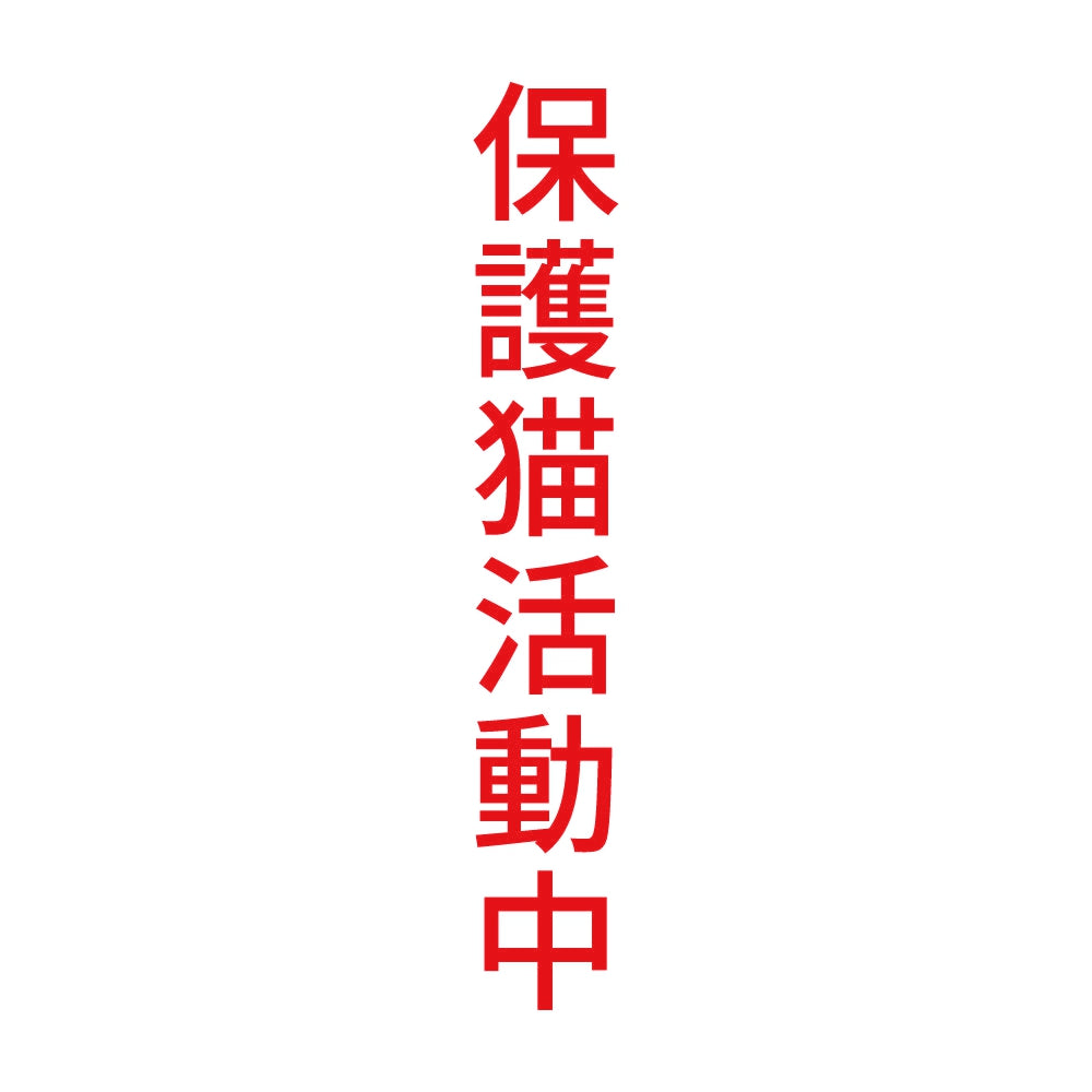 保護猫活動中 縦