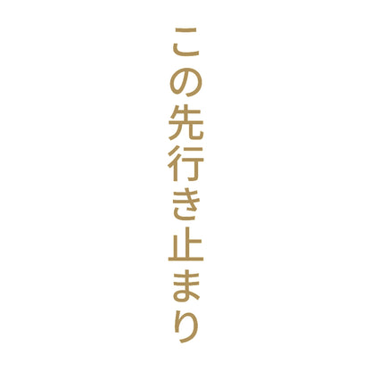 この先行き止まり 縦