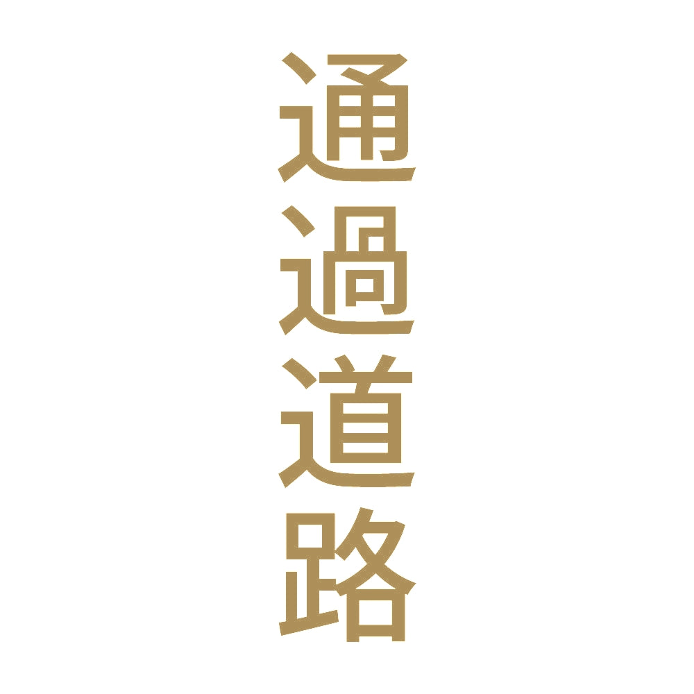 通過道路 縦