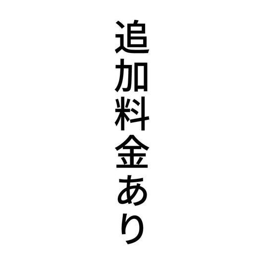 追加料金あり 縦