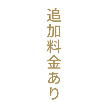 追加料金あり 縦