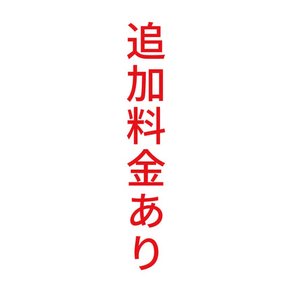 追加料金あり 縦