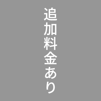 追加料金あり 縦