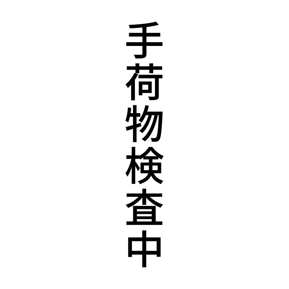 手荷物検査中 縦