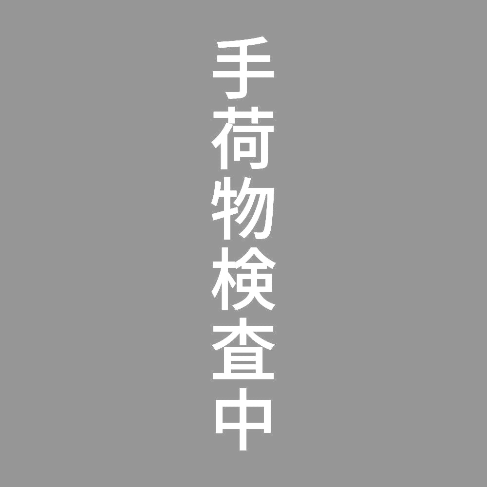 手荷物検査中 縦