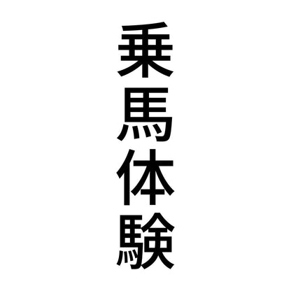 乗馬体験 縦