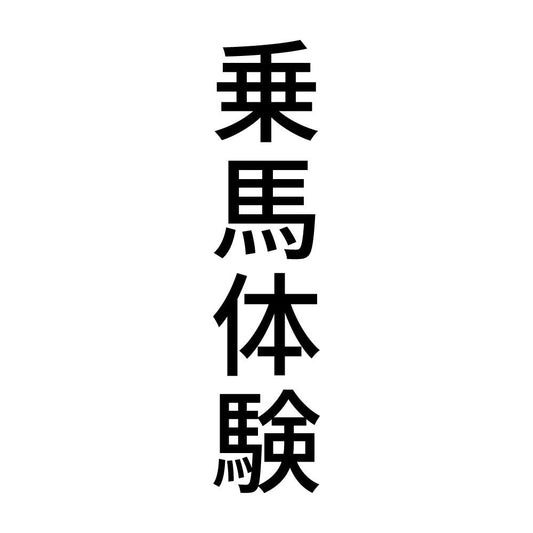 乗馬体験 縦