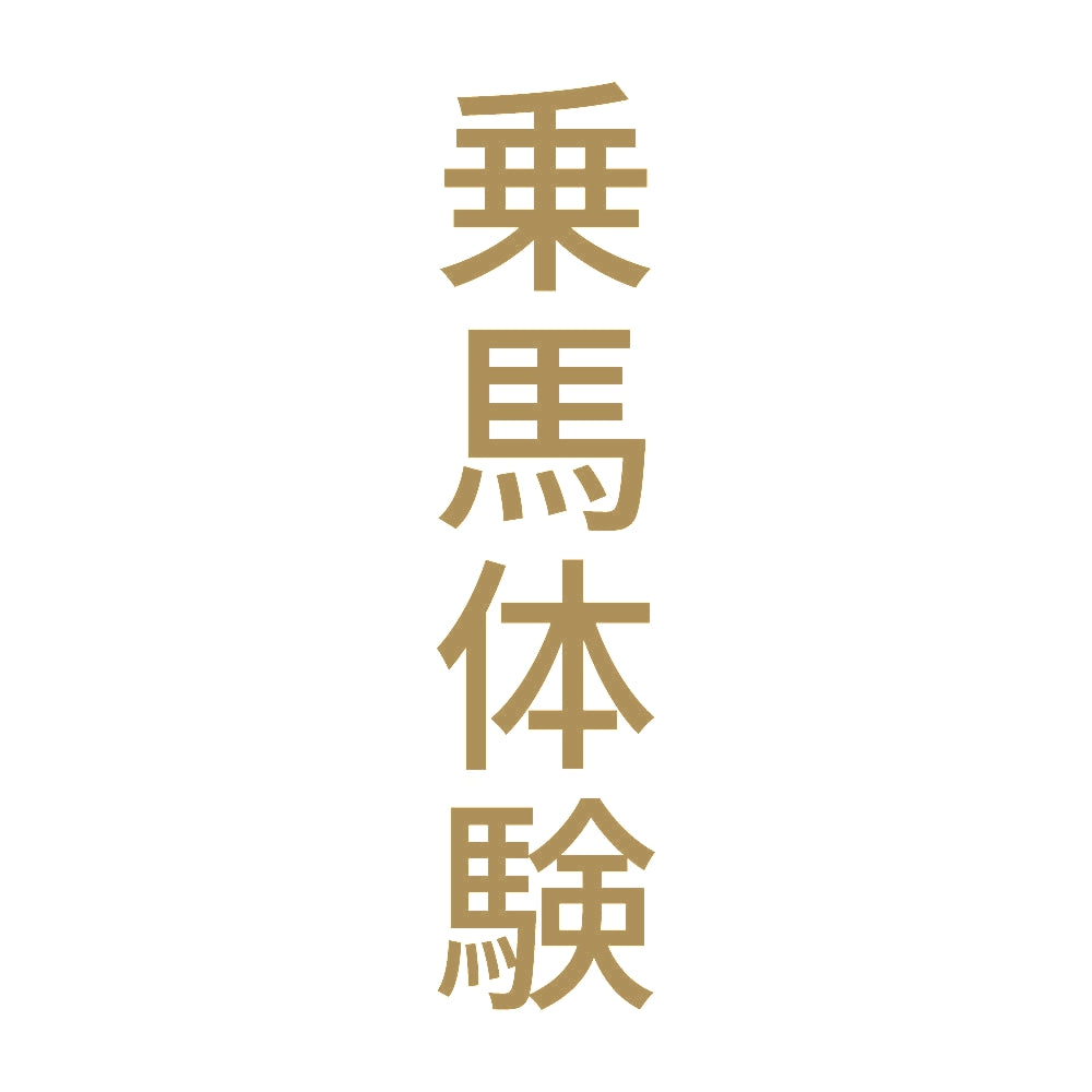 乗馬体験 縦