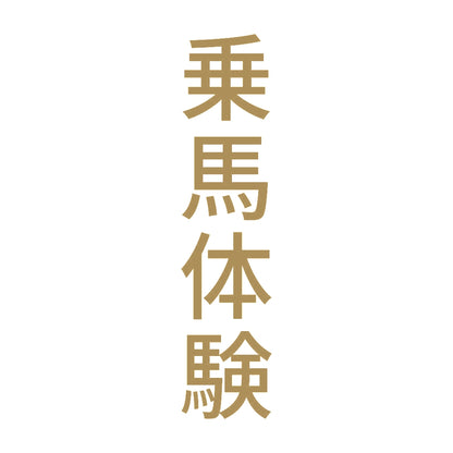 乗馬体験 縦