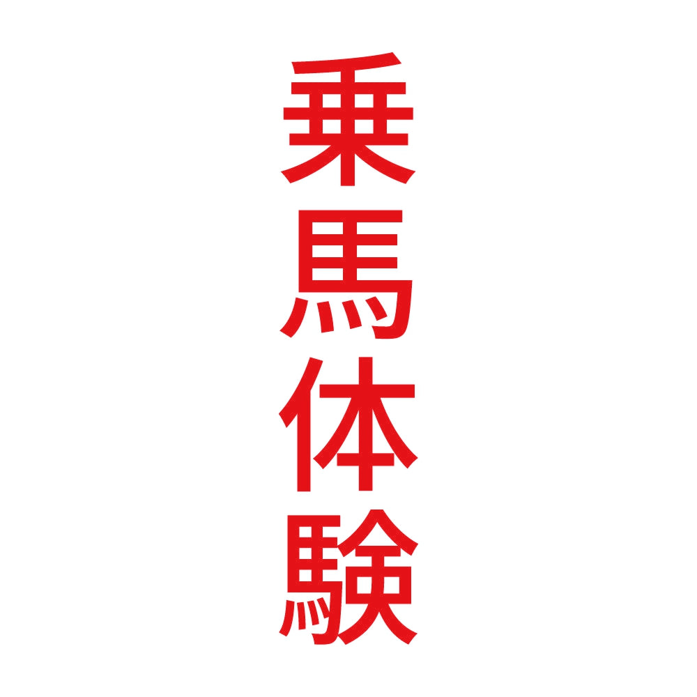 乗馬体験 縦