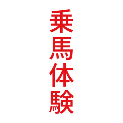 乗馬体験 縦