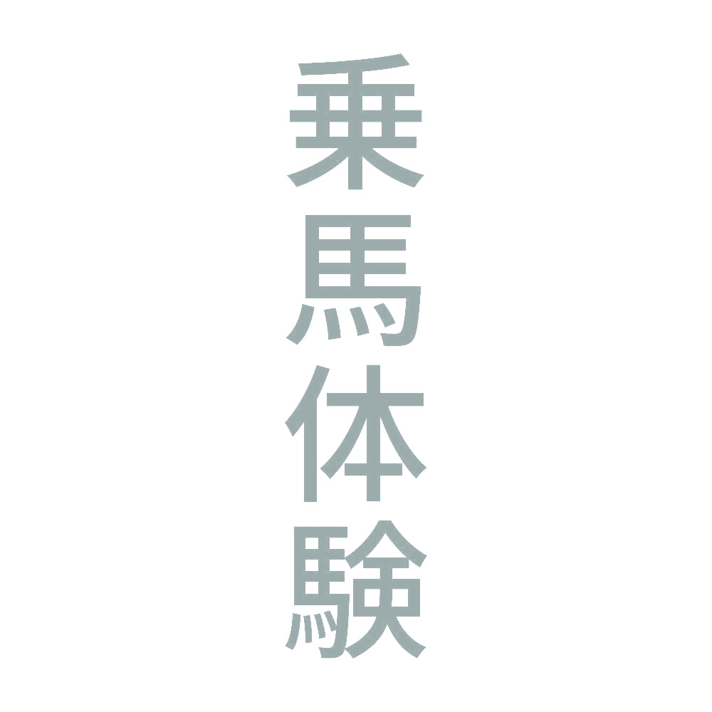 乗馬体験 縦
