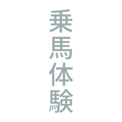 乗馬体験 縦