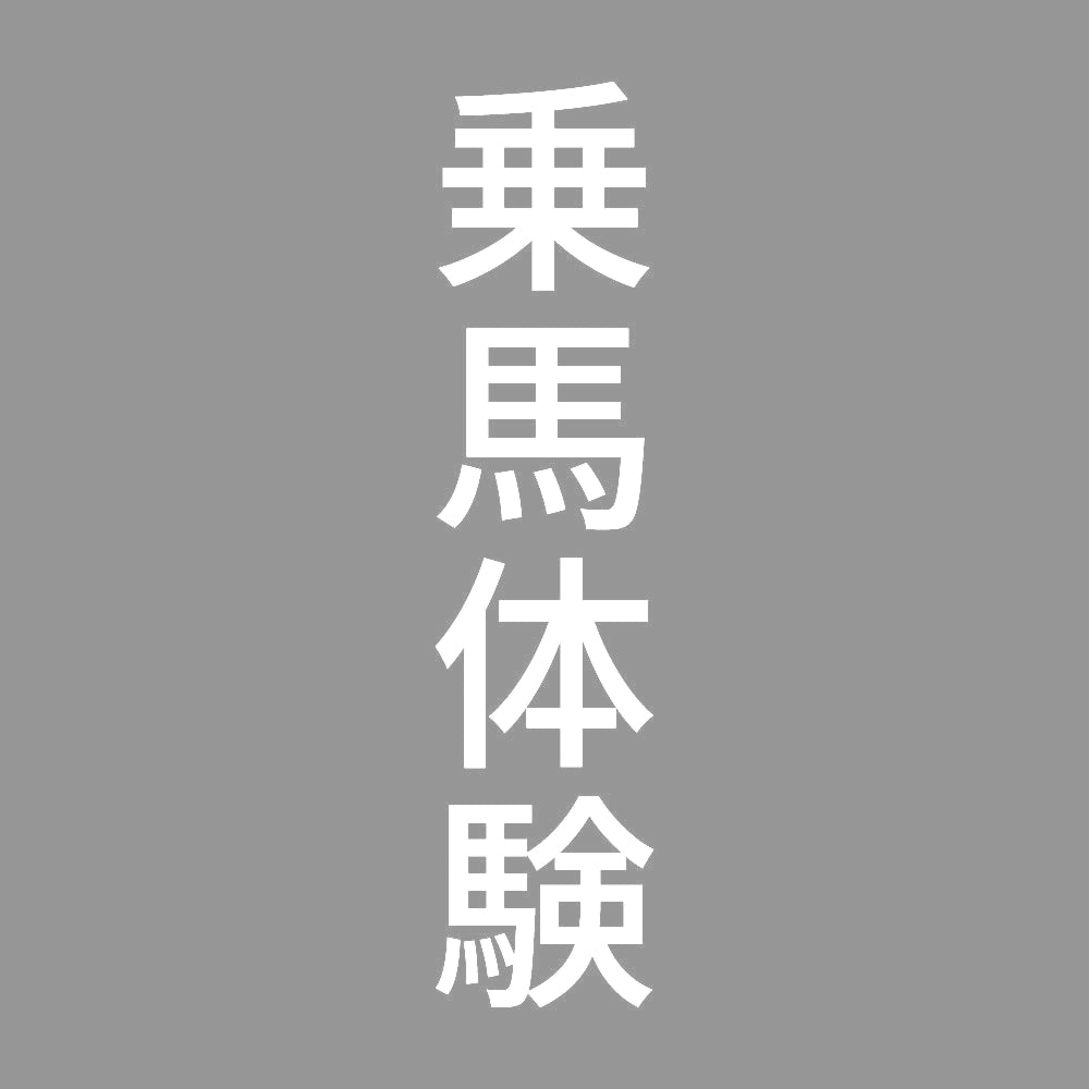 乗馬体験 縦
