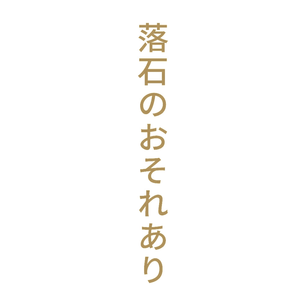 落石のおそれあり 縦