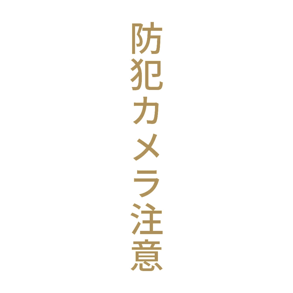 防犯カメラ注意 縦