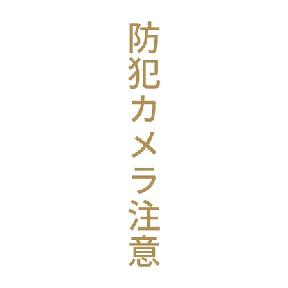 防犯カメラ注意 縦